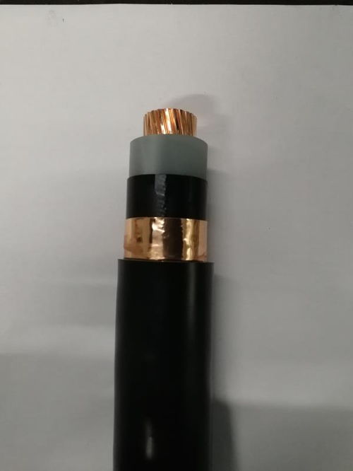 探寻重庆电线电缆产业 南洋电缆与天津品牌的视觉与技术对话